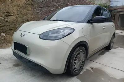Wuling Bingo