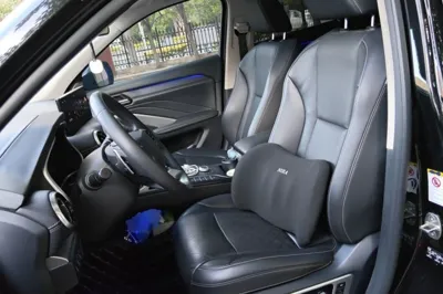 WEY VV6