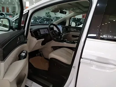 Denza Denza D9