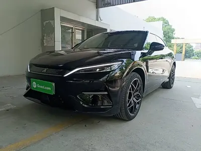 BYD L EV