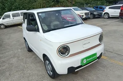 Geely Galaxy Panda