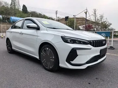 Geely Binrui