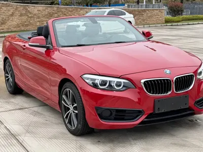 BMW 2 Series (Import)