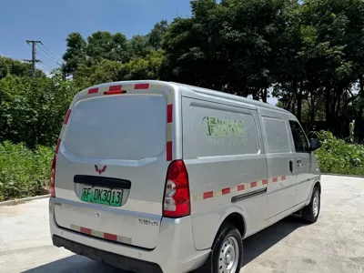Wuling Wuling EV50