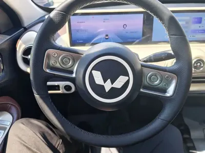Wuling Bingo
