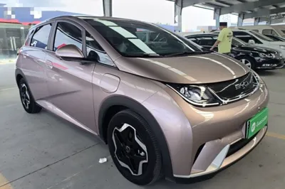 BYD Dolphin