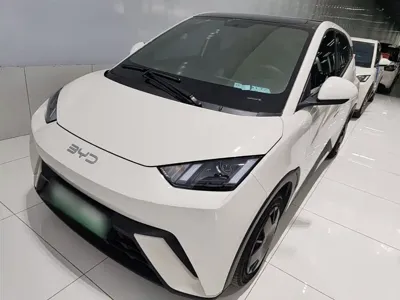 BYD Seagull