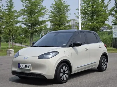 Wuling Bingo
