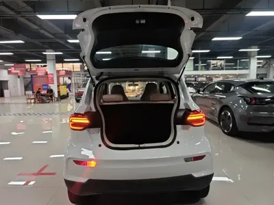 Leapmotor Leapmotor T03