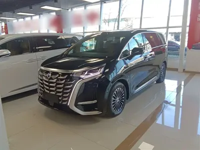 Denza Denza D9
