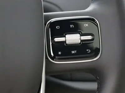 Li Auto Li L7