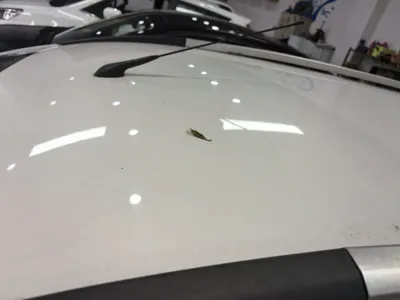 Baojun 310W
