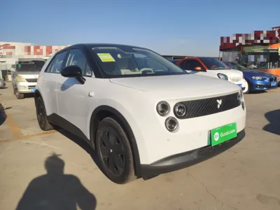 Nio Firefly