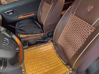 Geely Auto Vision X1