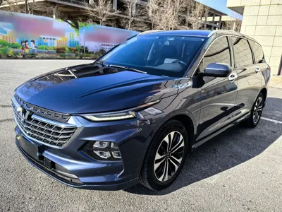 Wuling Victory