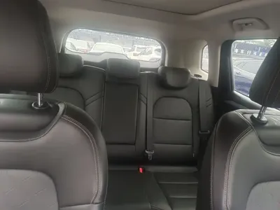 Haval Big Dog