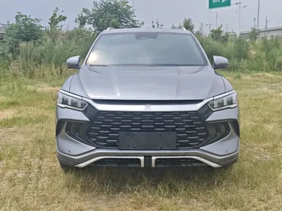 BYD Pro New Energy
