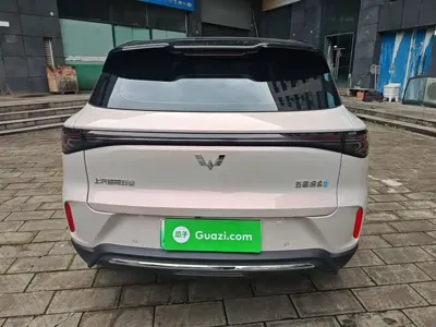 Wuling 缤果S