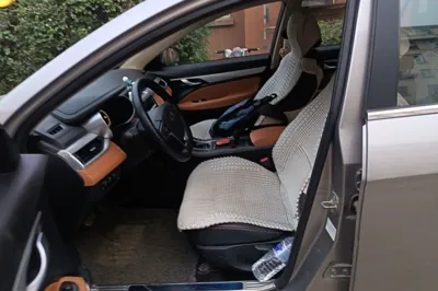 Geely Auto Vision S1
