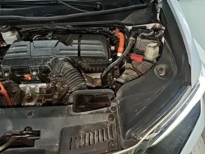 Honda Elysion
