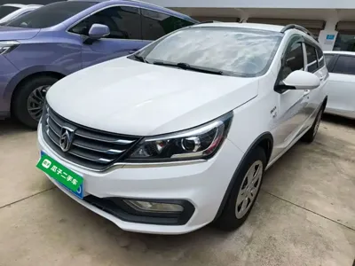 Baojun 310W