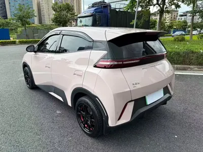 BYD Seagull