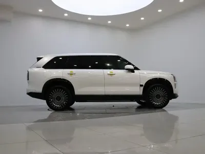 Zeekr 极氪9X