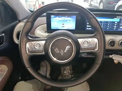 Wuling Bingo