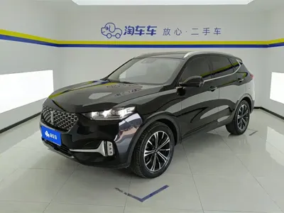 WEY Wey VV6
