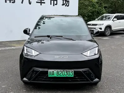 BYD Seagull