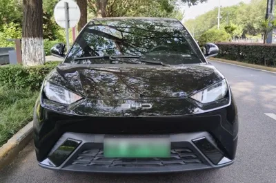 BYD Seagull