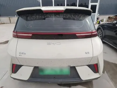 BYD Seagull