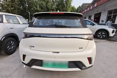 BYD Dolphin