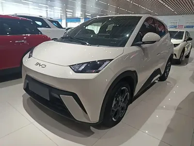 BYD Seagull