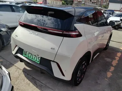 BYD Seagull