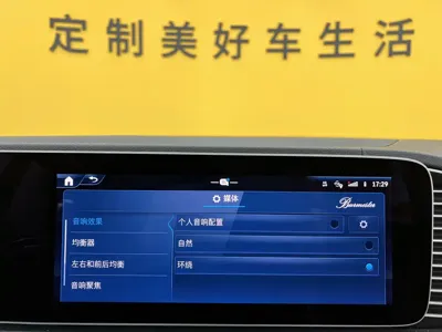 Mercedes-Benz 奔驰GLE(进口)