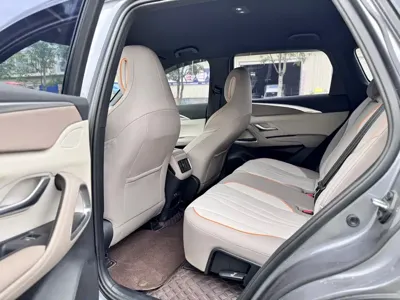 BYD Pro New Energy