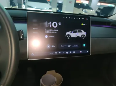 Nio Firefly