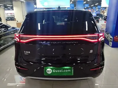 BYD Tang New Energy