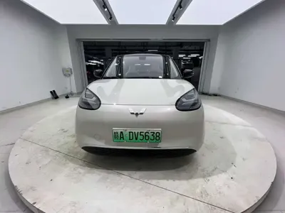 Wuling Bingo