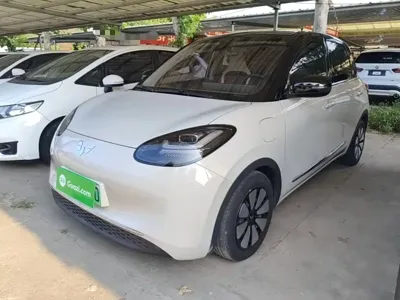 Wuling Bingo