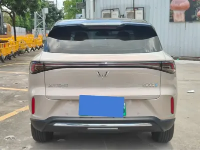 Wuling 缤果S