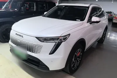 Haval Fierce Dragon Max