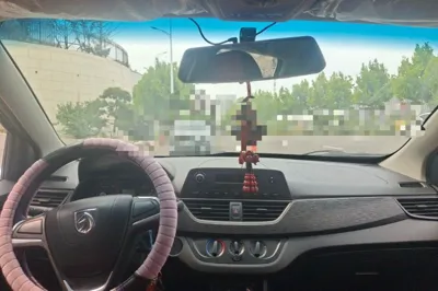Baojun 310