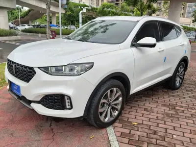 WEY Wey VV6
