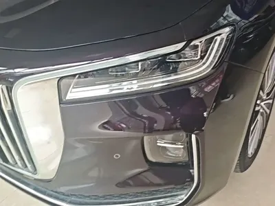 Hongqi Hongqi H9