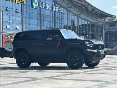 Mengshi Mengshi 917