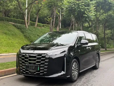 BYD Xia