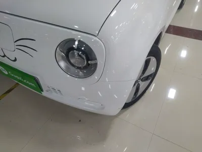 Euler Black Cat