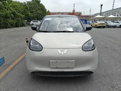 Wuling Bingo